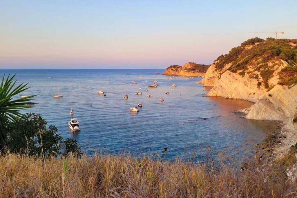 Javea Beach Blue House מראה חיצוני תמונה